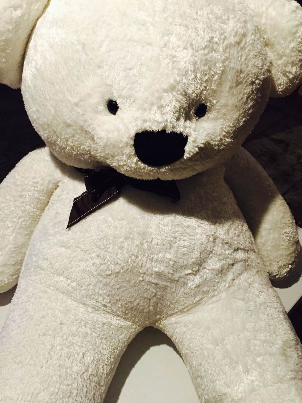 A soft brown teddy bear